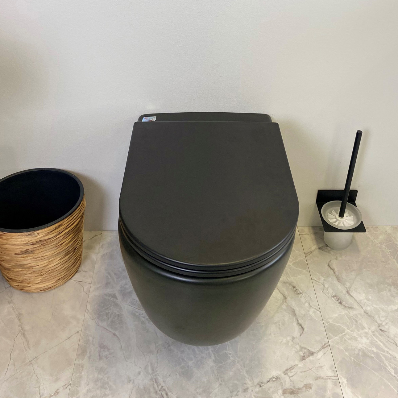 Raul-Rimless-Wall-Faced-Toilet-Pan