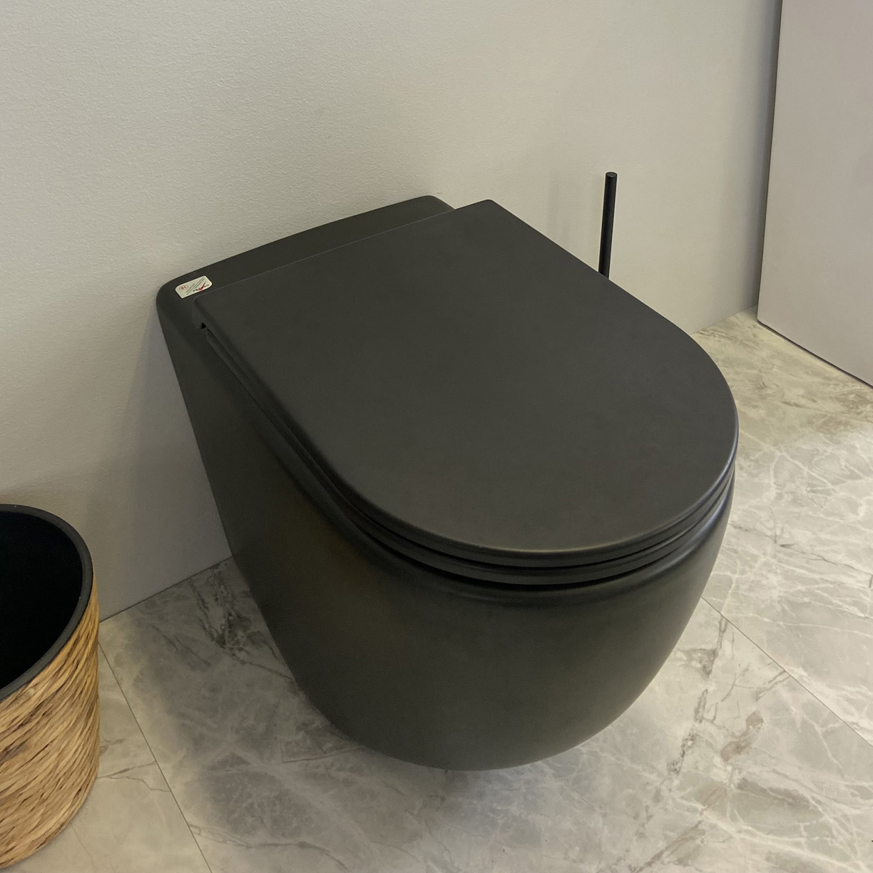 Raul-Rimless-Wall-Faced-Toilet-Pan