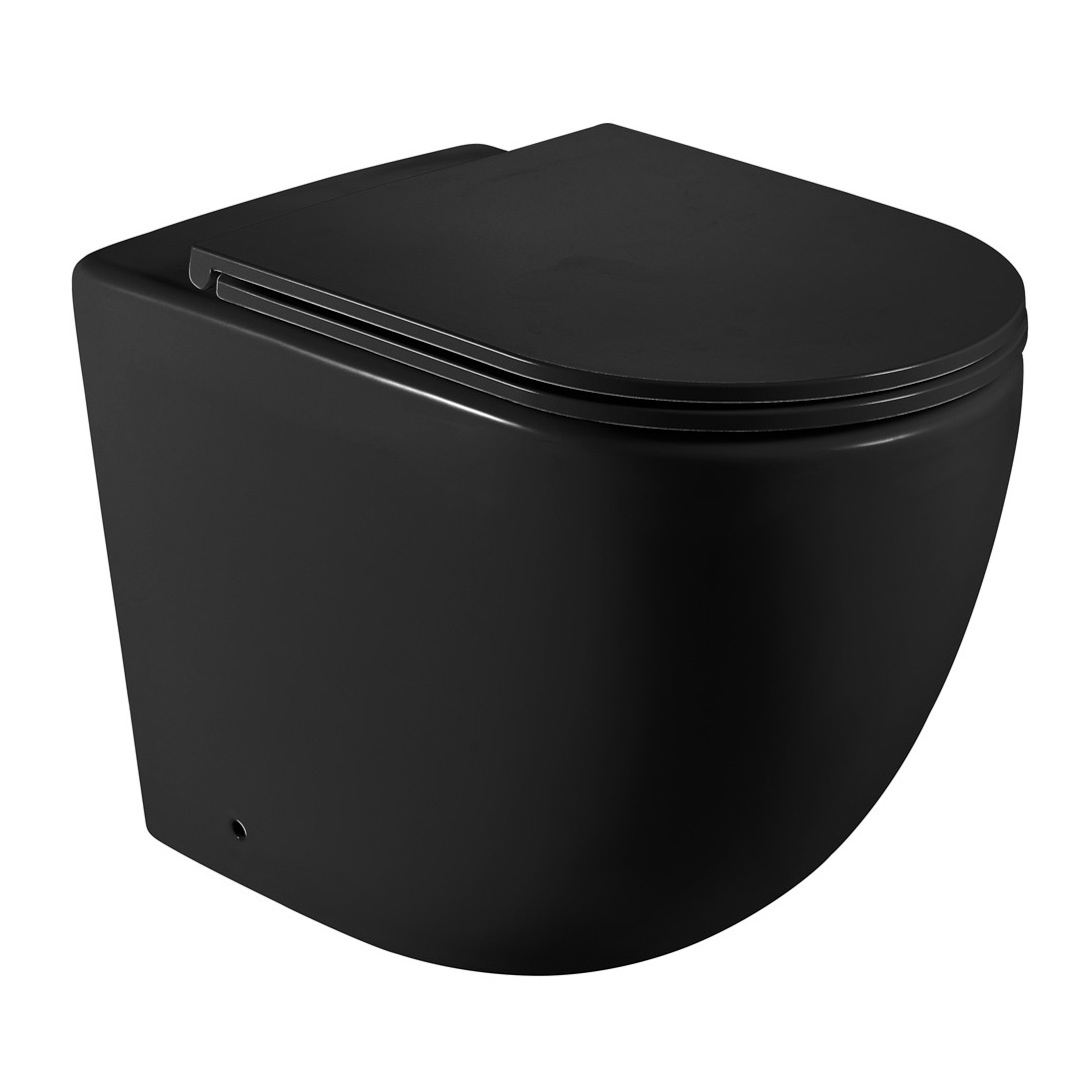 Raul-Rimless-Wall-Faced-Toilet-Pan