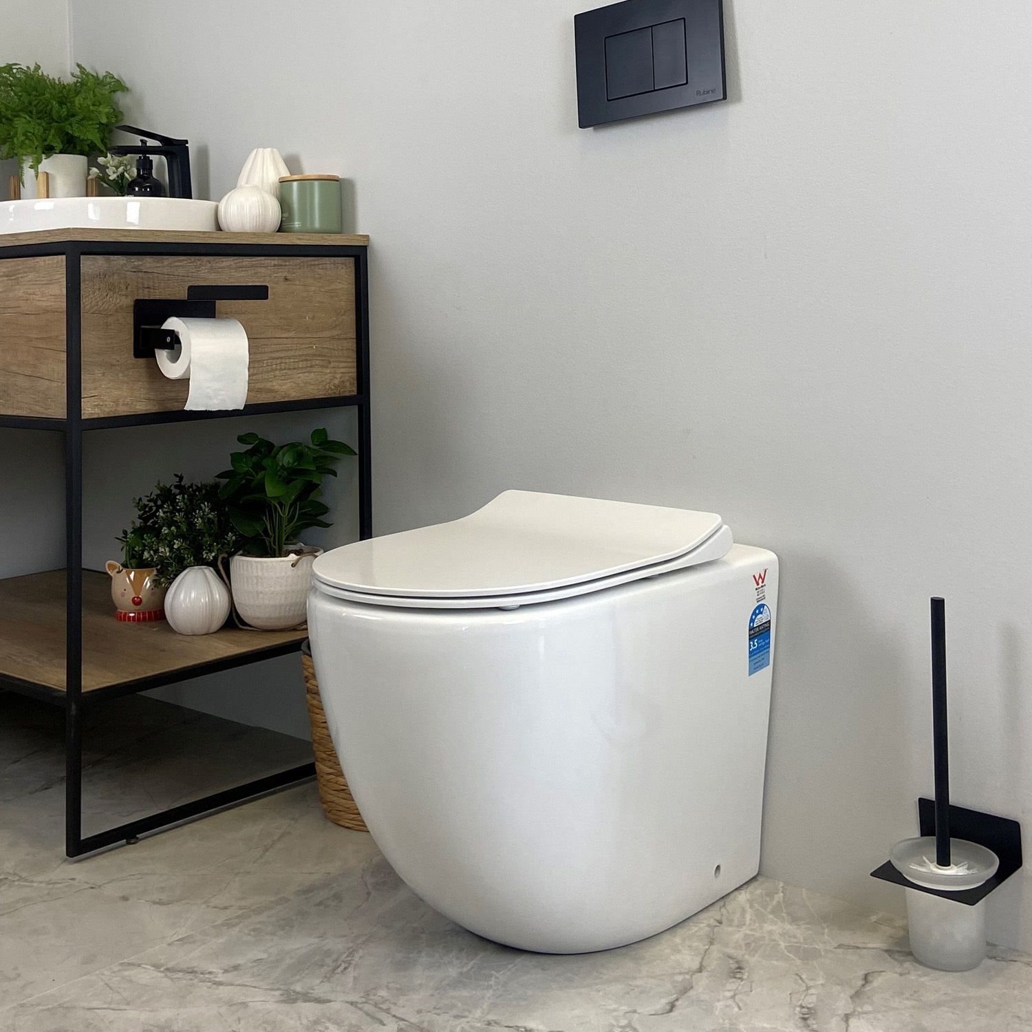 Raul-Rimless-Wall-Faced-Toilet-Pan