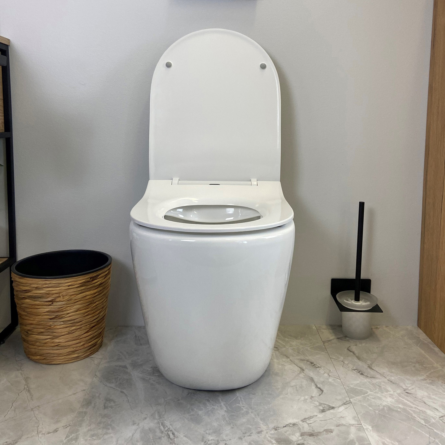 Raul-Rimless-Wall-Faced-Toilet-Pan
