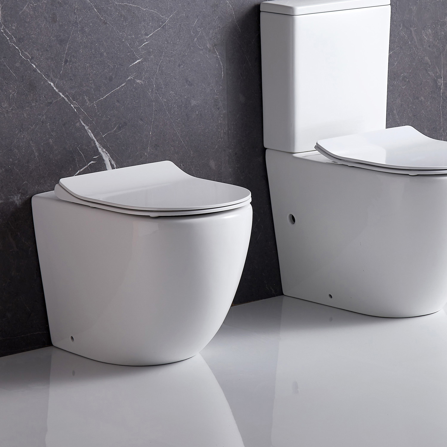 Raul-Rimless-Wall-Faced-Toilet-Pan