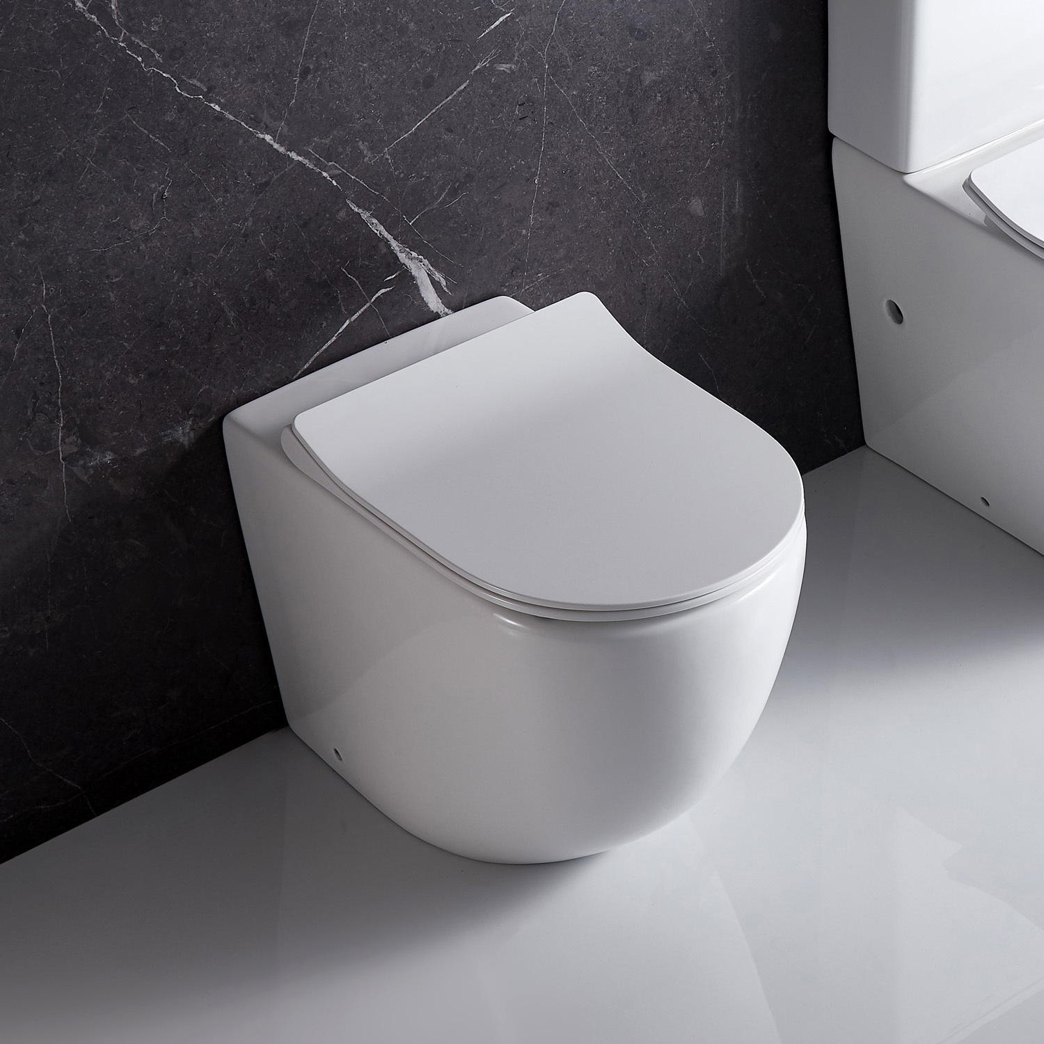 Raul-Rimless-Wall-Faced-Toilet-Pan
