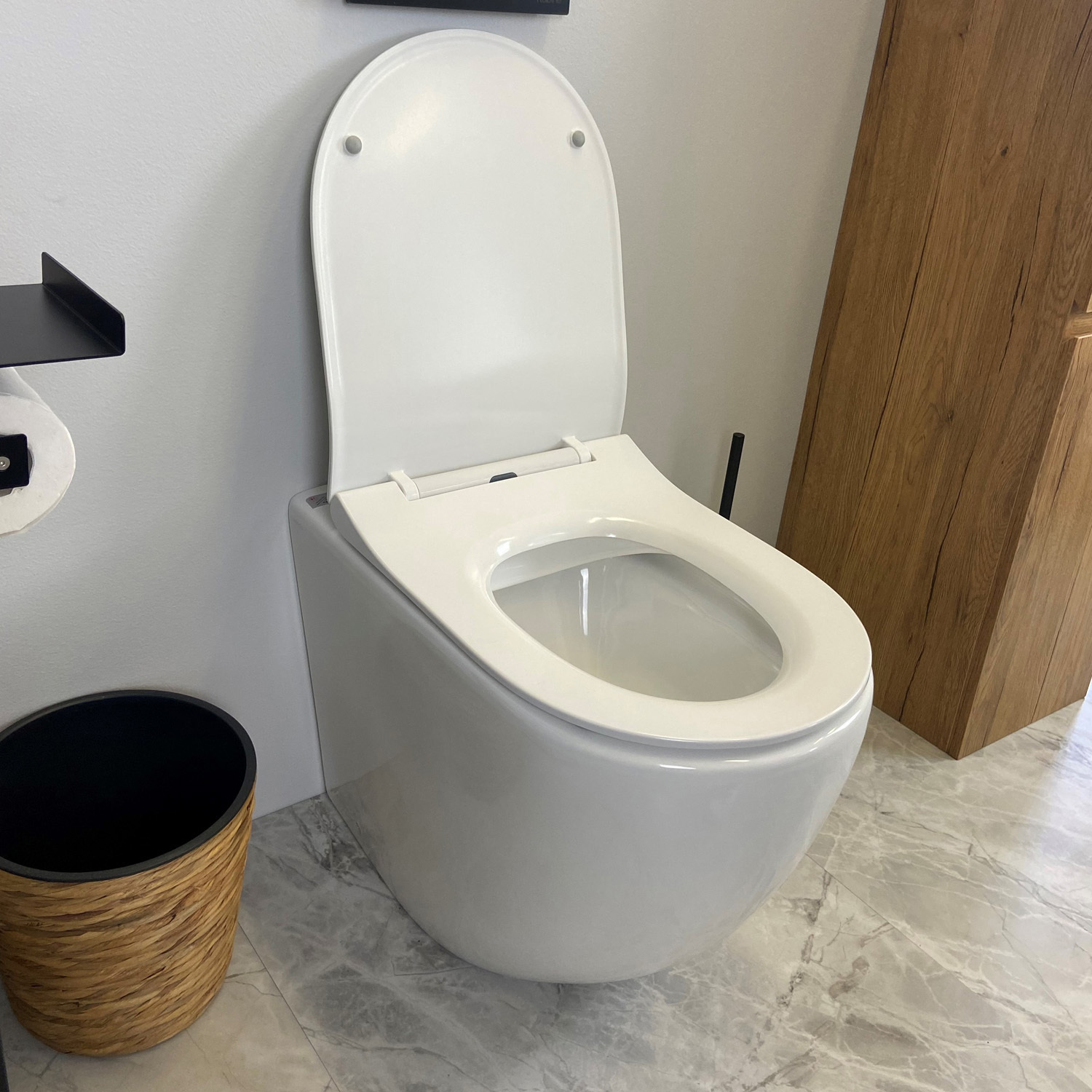 Raul-Rimless-Wall-Faced-Toilet-Pan