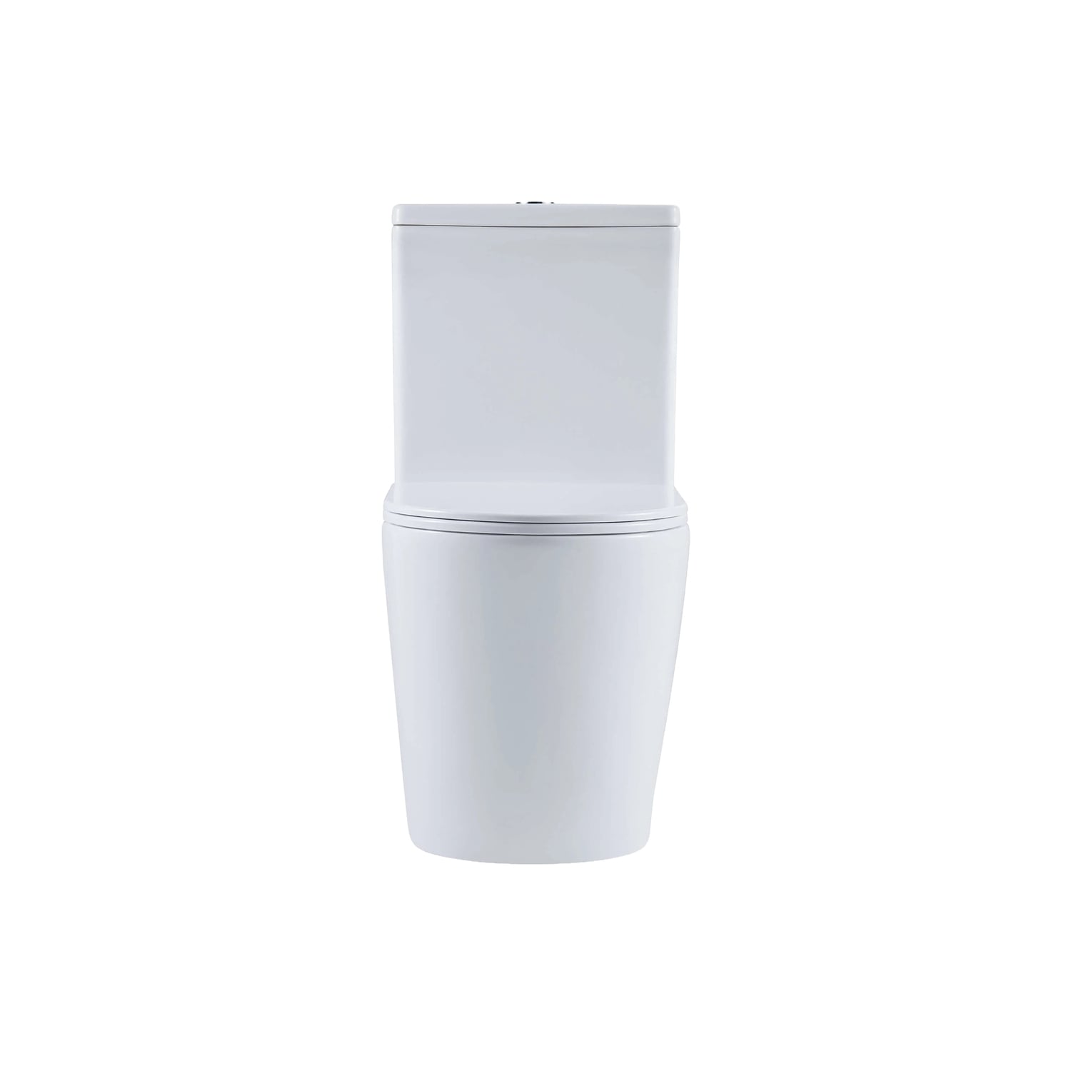 Windsor Back to Wall Toilet Suite