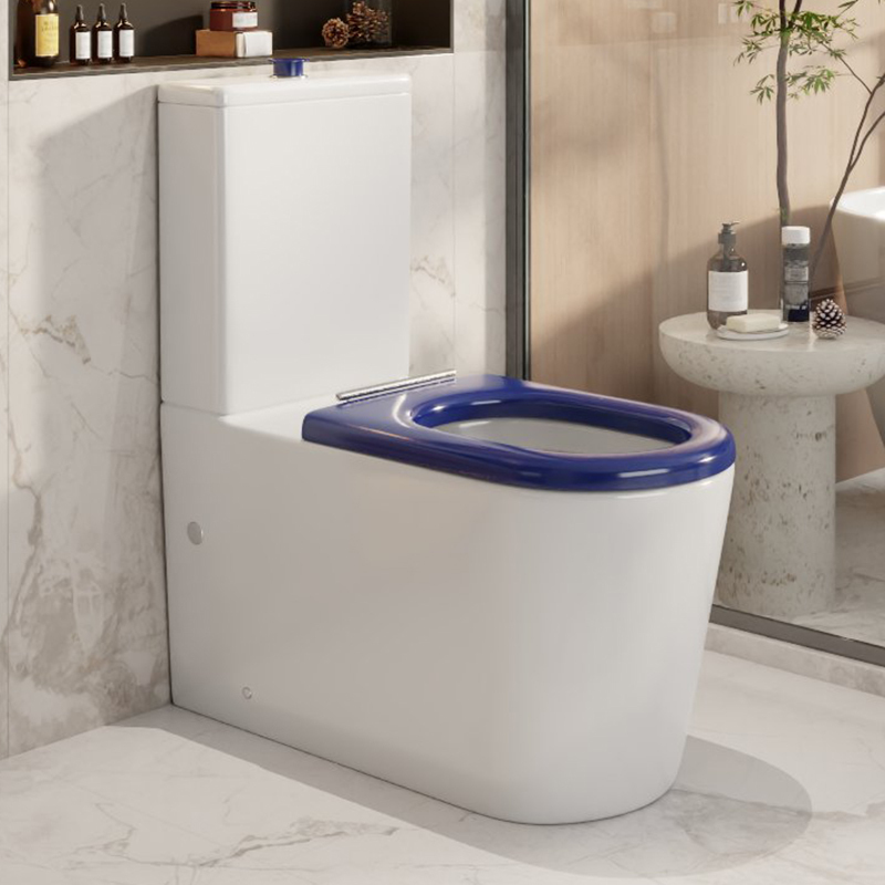 Palma Back to Wall Toilet Suite