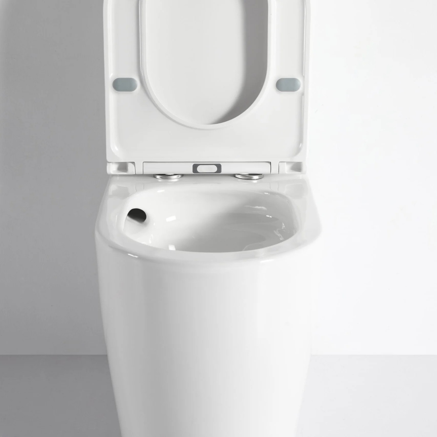 Waverley Back to Wall Toilet Suite