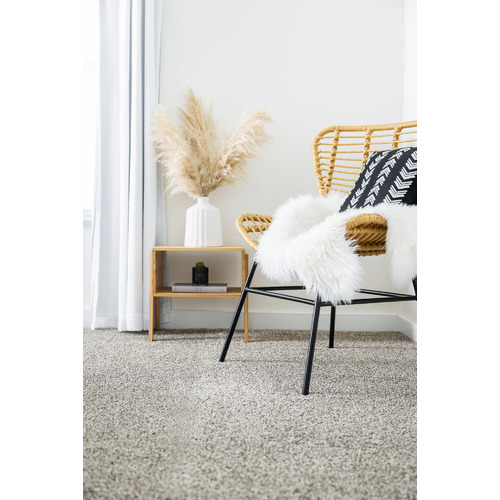 Dream On Carpet