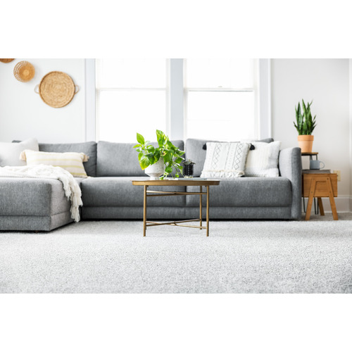 Dream On Carpet