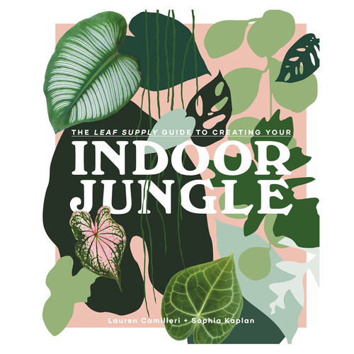 Indoor Jungle