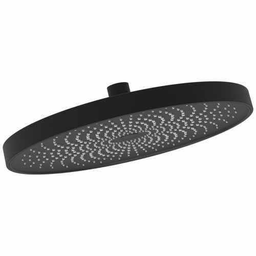 The Gabe Shower Head