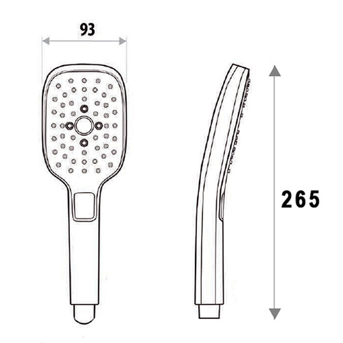 Huntingwood Hand-Held Shower Head