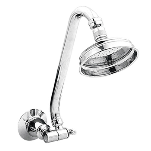 2 Piece Noosa Gooseneck Shower Arm & Head Set