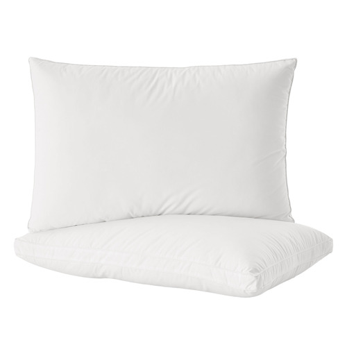 Raleigh Cotton High Profile Standard Pillows