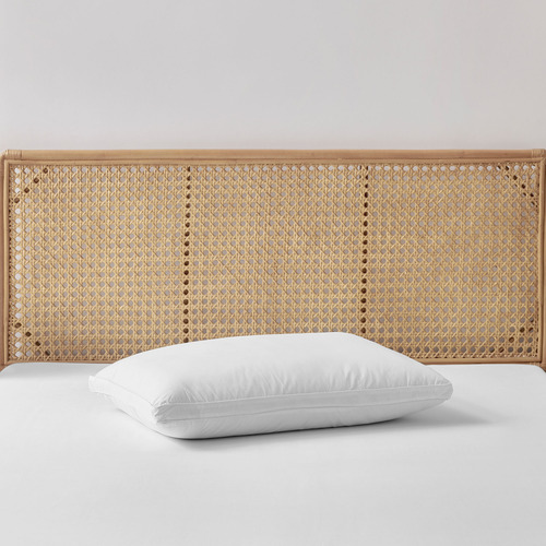Raleigh Cotton High Profile Standard Pillows