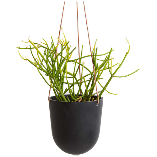 Stoneware Hanging Planter