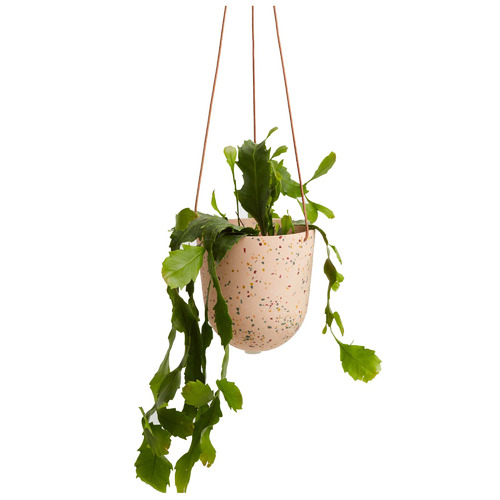 Terrazzo Hanging Planter Temple & ster