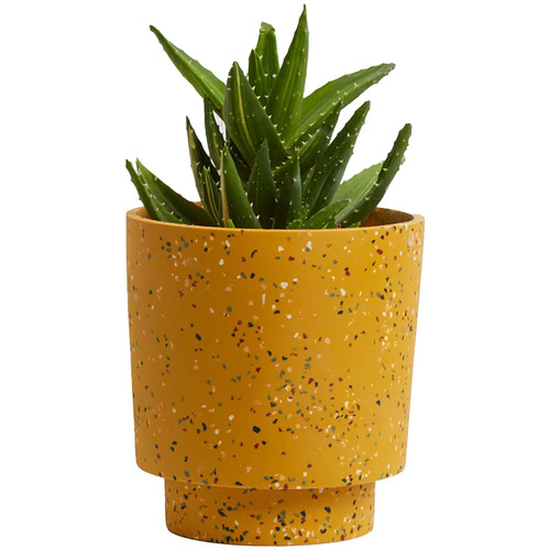 Banjo Terrazzo Planter