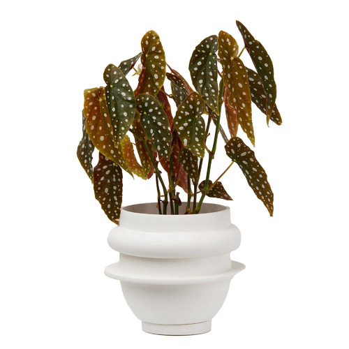 Bud Stoneware Planter