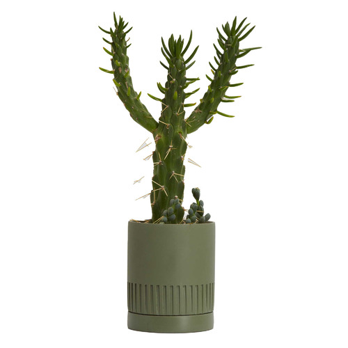 Etch Stoneware Planter