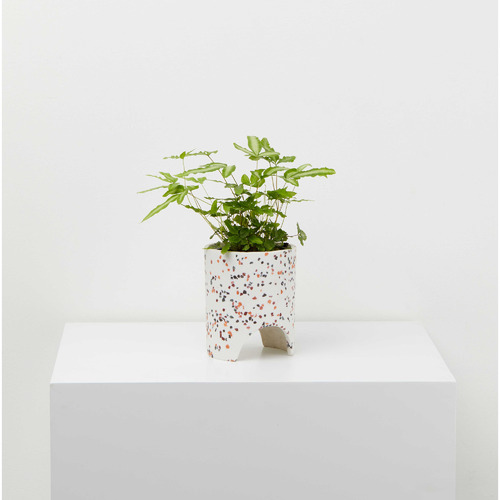 Small Archie Terrazzo Planter