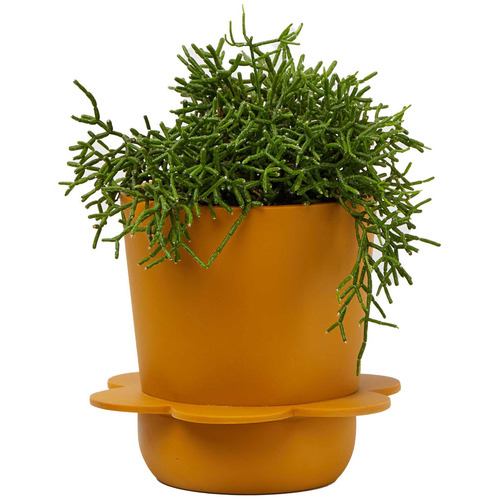 Spring Stoneware Planter