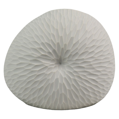 White Rippled Mollusc Oceania Vase