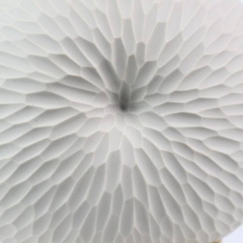 White Rippled Mollusc Oceania Vase