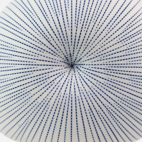 Pinstripe Mollusc Oceania Vase