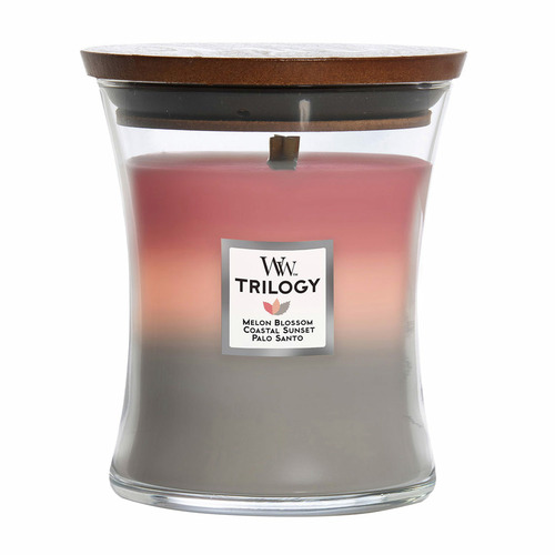 Medium Shoreline Trilogy Soy Candle