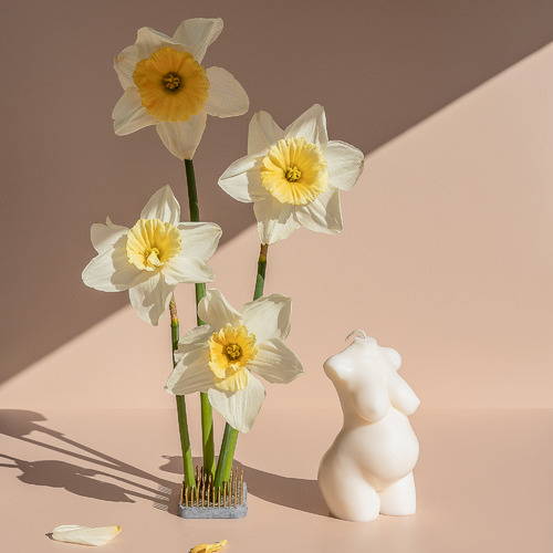 Pregnant Soy Wax Candle Temple & ster