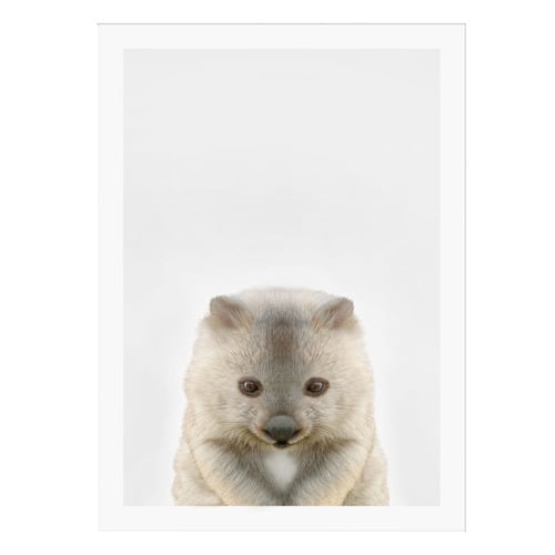 Baby Wombat Framed Printed Wall Art