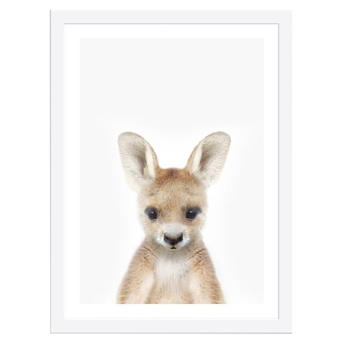 Baby Kangaroo Framed Printed Wall Art