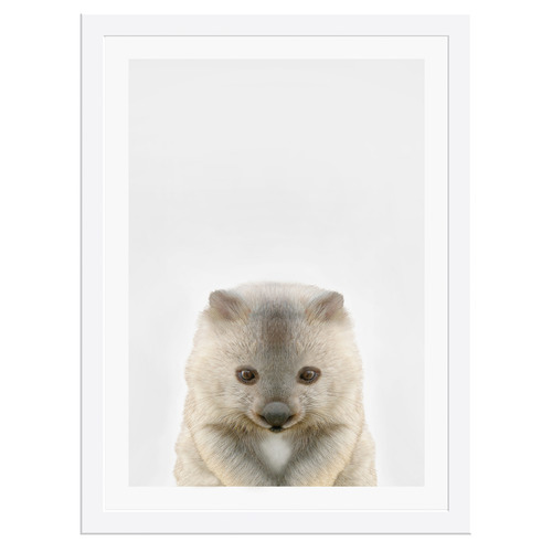 Baby Wombat Framed Printed Wall Art