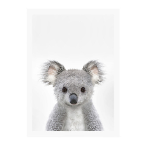 Baby Koala Framed Printed Wall Art