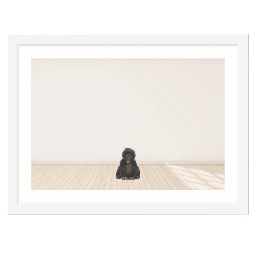 Baby Monkey Framed Printed Wall Art