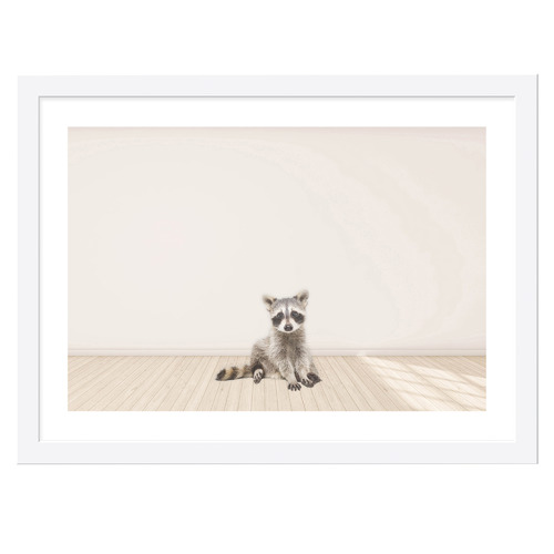 Baby Raccoon Framed Printed Wall Art