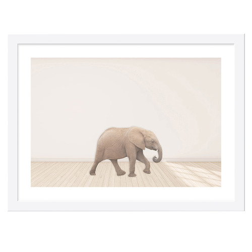 Baby Elephant Framed Printed Wall Art