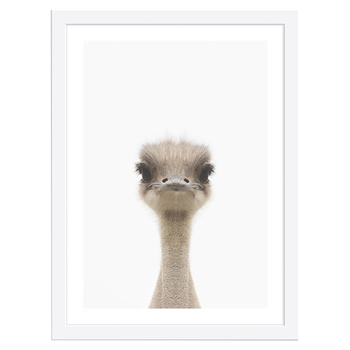 TinyTotsPrints Baby Emu Printed Wall Art | Temple & Webster