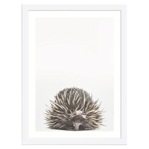 Baby Echidna Rose Crown Framed Printed Wall Art