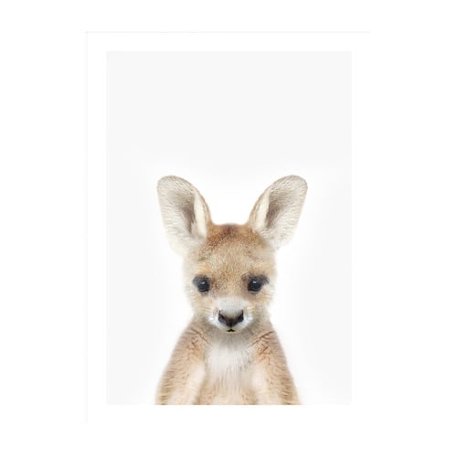 Baby Kangaroo Framed Printed Wall Art