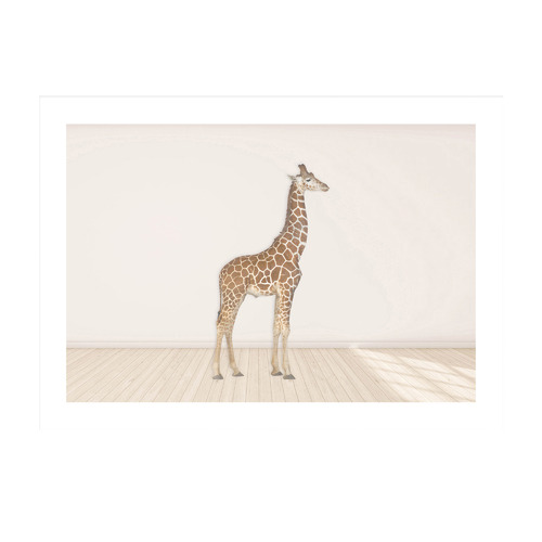 Baby Giraffe Framed Printed Wall Art