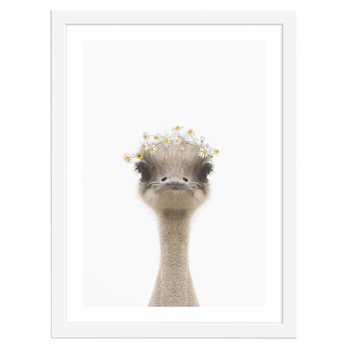 Baby Emu Daisy Crown Framed Printed Wall Art