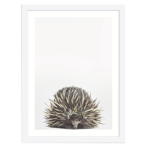 Baby Echidna Eucalyptus Crown Framed Printed Wall Art