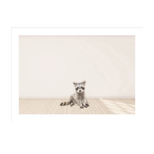 Baby Raccoon Framed Printed Wall Art