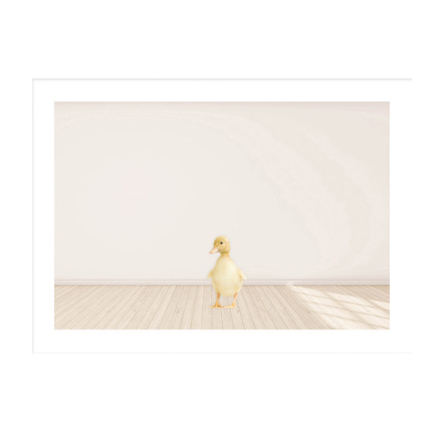 Baby Duckling Framed Printed Wall Art