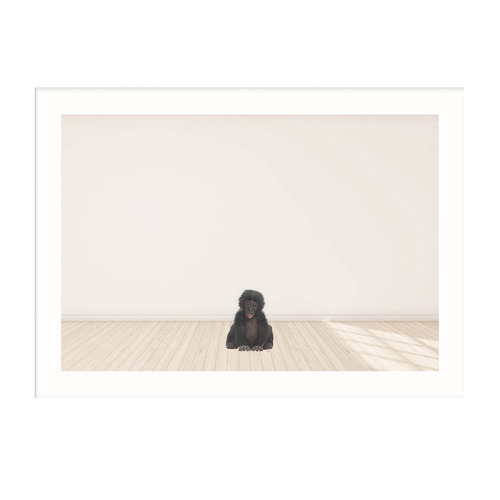 Baby Monkey Framed Printed Wall Art