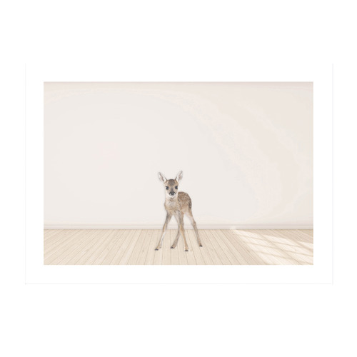 Baby Deer Framed Printed Wall Art