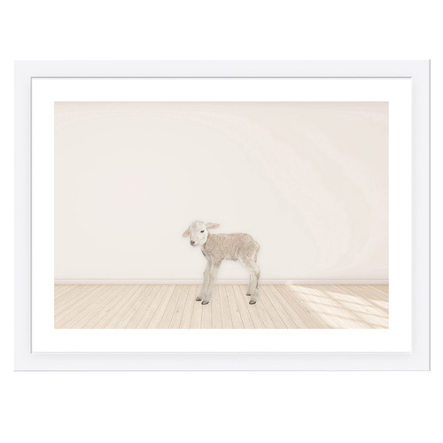 Baby Lamb Framed Printed Wall Art