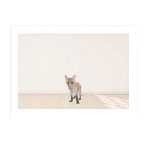 Baby Fox Framed Printed Wall Art